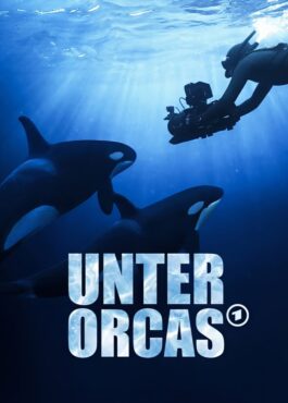 02-cover-mit-branding-3-4-unter-orcas-ck-sf