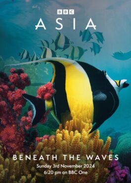 BBC ASIA Cover EP 1 Oceans Moorish Idle