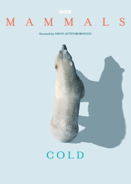 BBC MAMMALS COLD episode